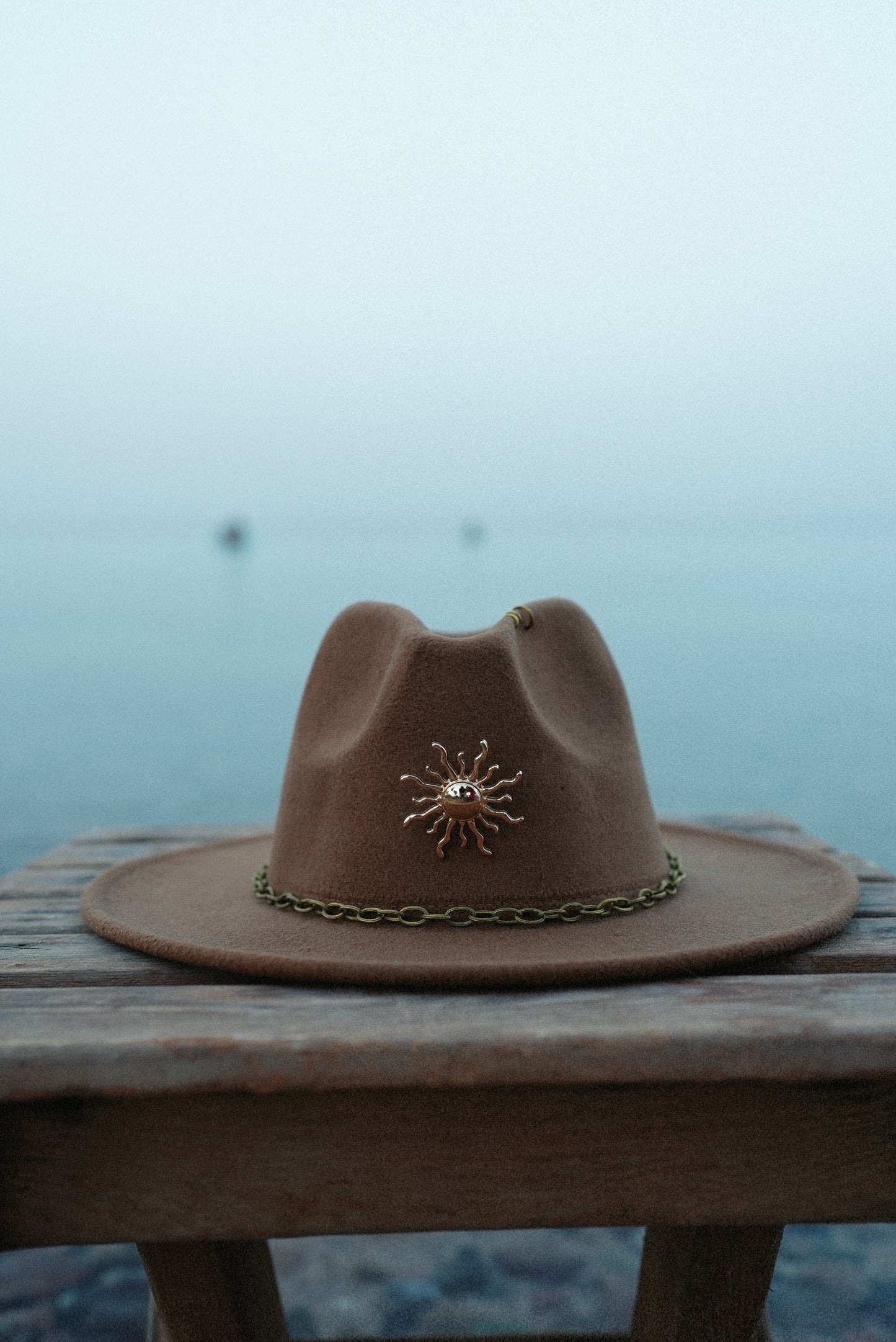 Follow the sun brown fedora