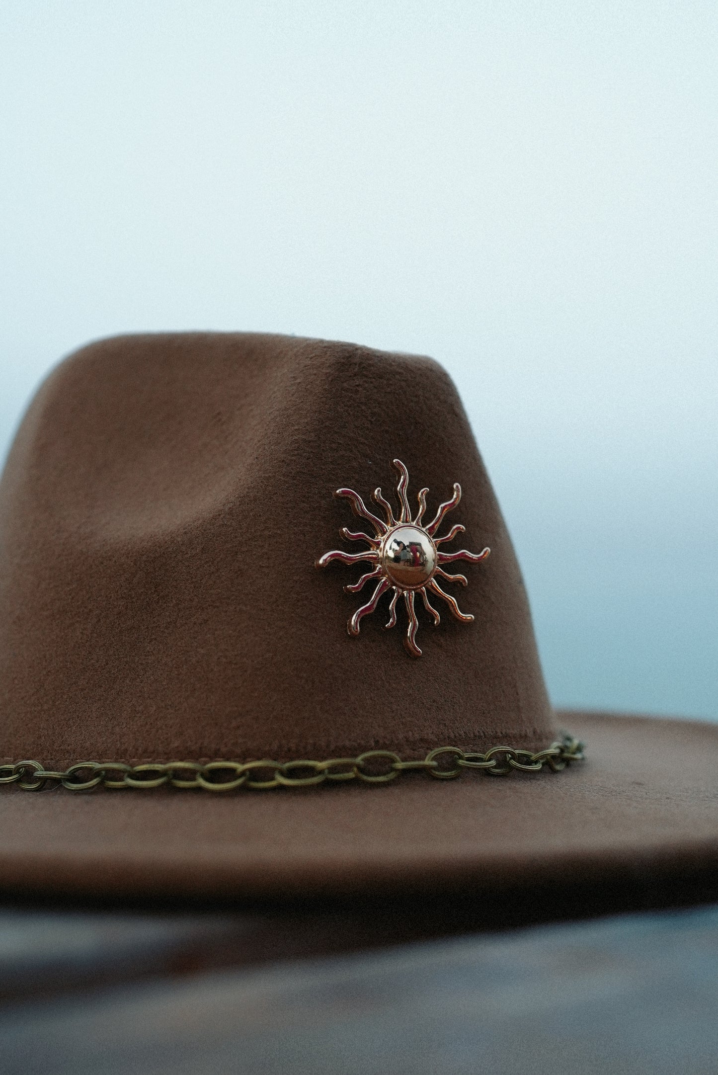 Follow the sun brown fedora