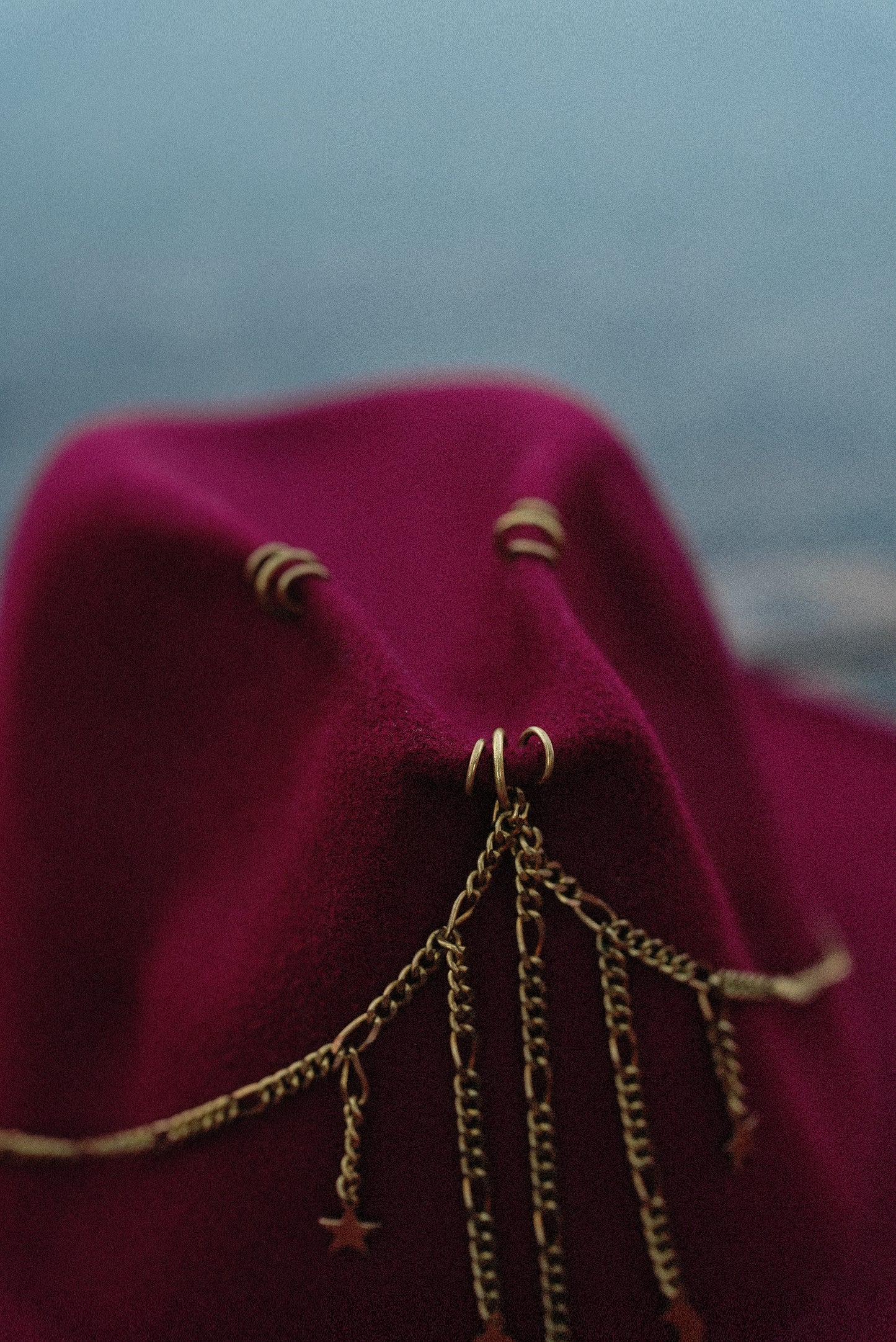 Crimson Charm fedora